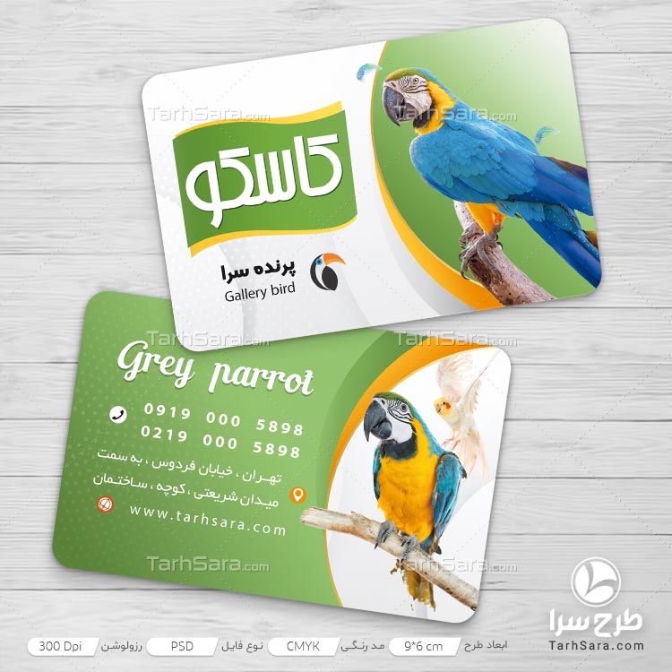 کارت ویزیت برای پرنده فروشی
